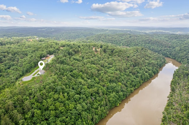 497 S Jakes Landing Way, Ellijay, GA 30540 - drone / aerial view of a forest and a large body of water