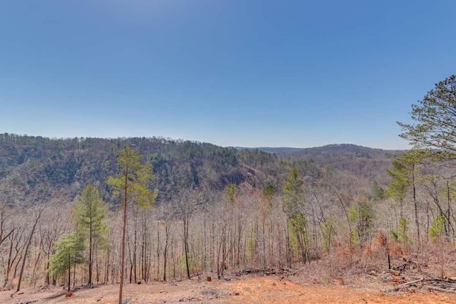 497 S Jakes Landing Way, Ellijay, GA 30540 - mountain view featuring a forest