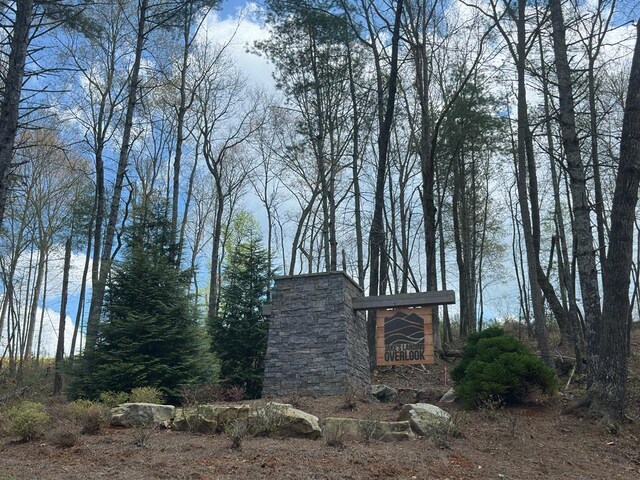 497 S Jakes Landing Way, Ellijay, GA 30540 - view of undeveloped land