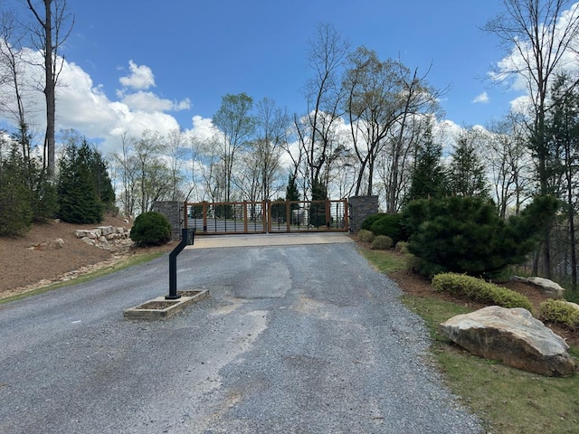 497 S Jakes Landing Way, Ellijay, GA 30540 - view of asphalt driveway with a gate