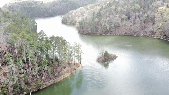 497 S Jakes Landing Way, Ellijay, GA 30540 - water view featuring a heavily wooded area