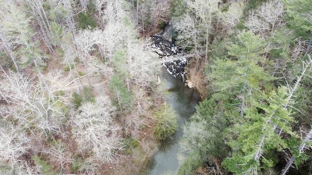 497 S Jakes Landing Way, Ellijay, GA 30540 - bird's eye view