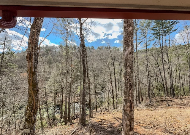 view of mountain feature featuring a forest view