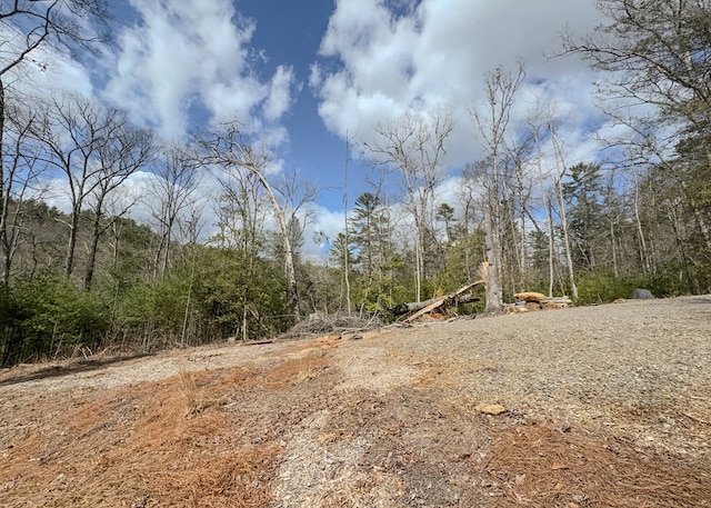 view of landscape featuring a wooded view