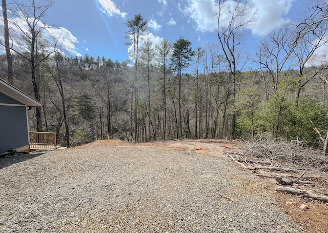 view of yard featuring gravel driveway and a wooded view