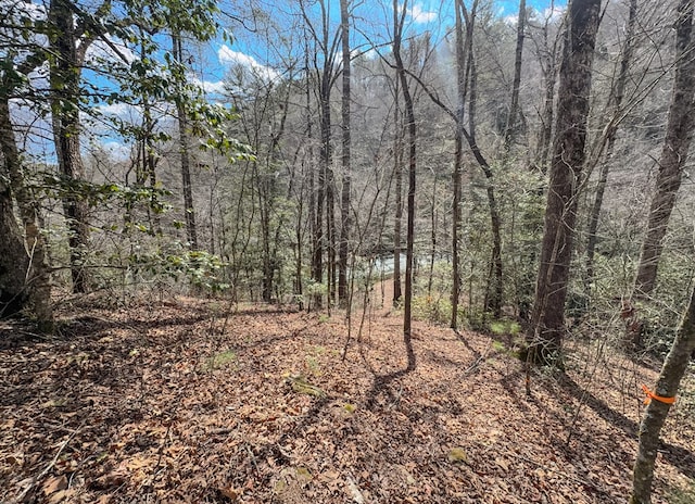 view of local wilderness with a view of trees