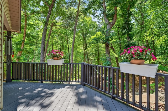 2790 Tamarack Dr, Jasper, GA 30143 - view of wooden deck