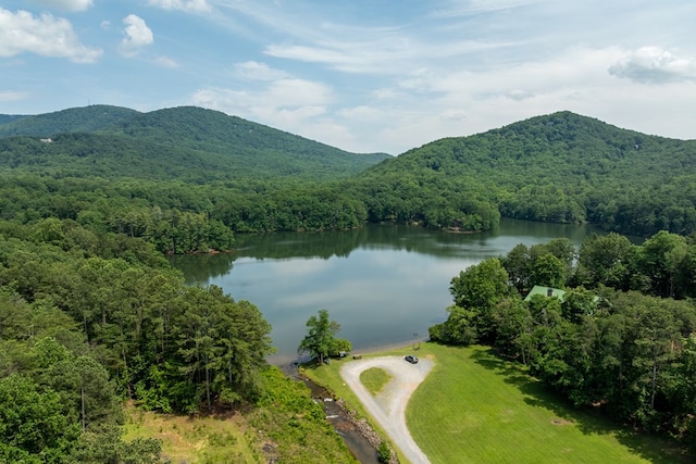 2790 Tamarack Dr, Jasper, GA 30143 - aerial view of a water and mountain view
