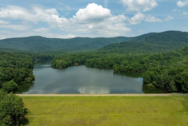 2790 Tamarack Dr, Jasper, GA 30143 - water view featuring a heavily wooded area and a mountain backdrop