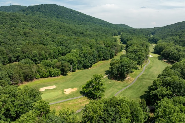 2790 Tamarack Dr, Jasper, GA 30143 - bird's eye view of a mountain backdrop and a golf course