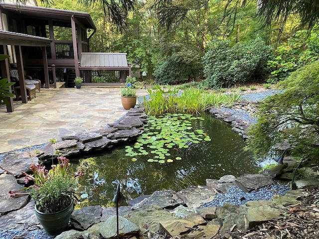 view of yard featuring a patio area and a small pond