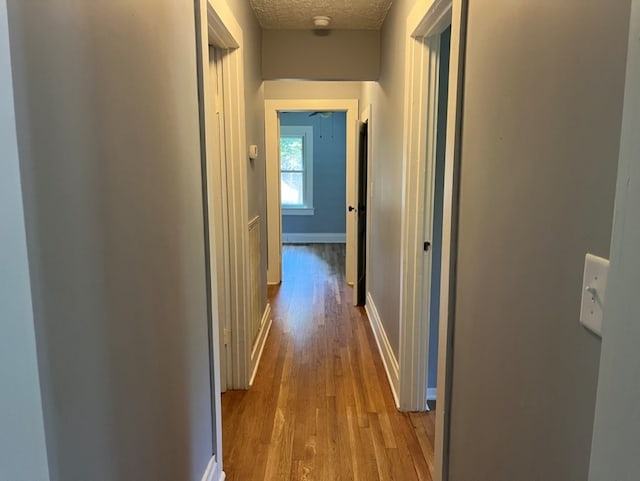 corridor featuring a textured ceiling and hardwood / wood-style flooring