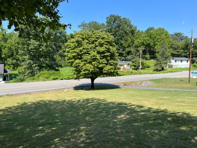 view of home's community with a lawn