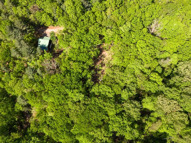 LOT45 Amy Crk, Ellijay, GA 30540