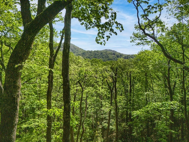 LOT45 Amy Crk, Ellijay, GA 30540