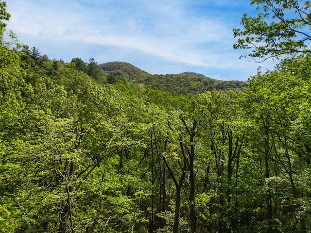 LOT45 Amy Crk, Ellijay, GA 30540