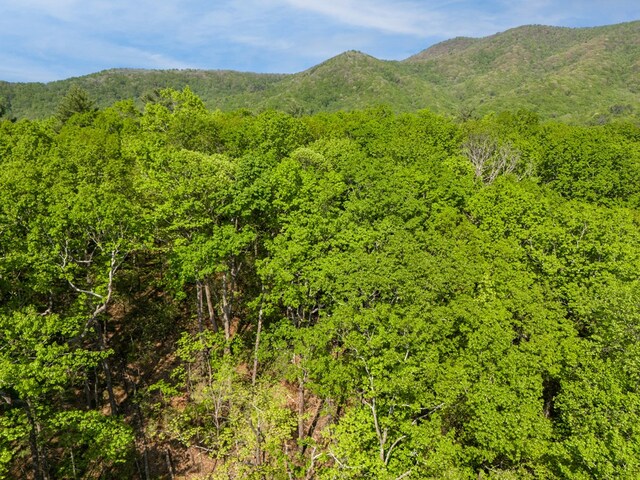LOT45 Amy Crk, Ellijay, GA 30540