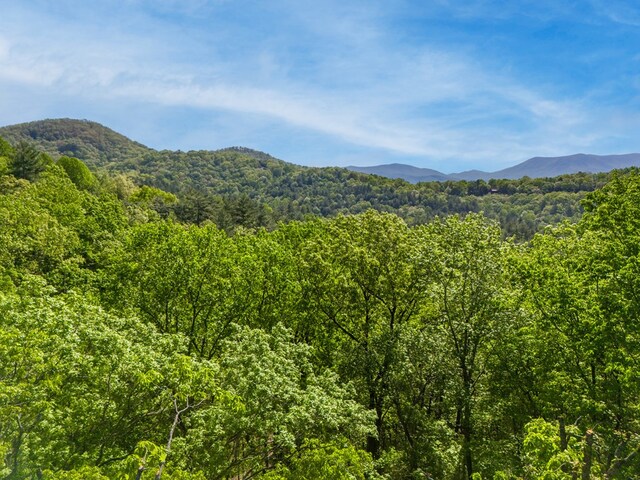LOT45 Amy Crk, Ellijay, GA 30540