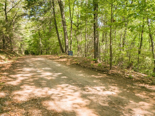 LOT45 Amy Crk, Ellijay, GA 30540
