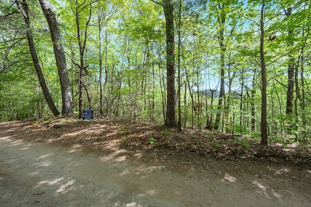 LOT45 Amy Crk, Ellijay, GA 30540