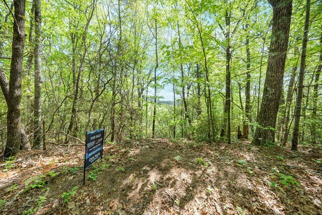 LOT45 Amy Crk, Ellijay, GA 30540