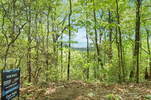 LOT45 Amy Crk, Ellijay, GA 30540