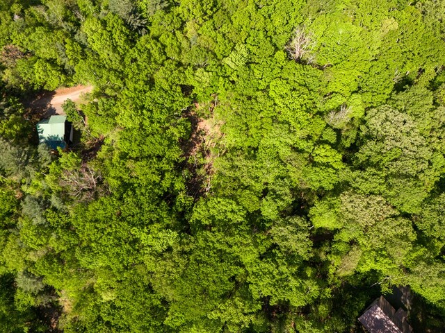 LOT45 Amy Crk, Ellijay, GA 30540