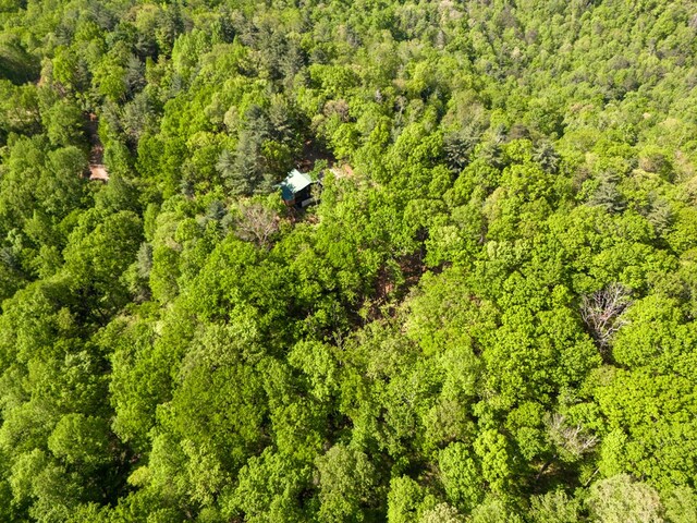 LOT45 Amy Crk, Ellijay, GA 30540