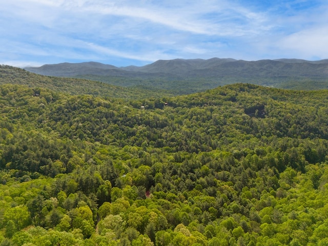 LOT45 Amy Crk, Ellijay, GA 30540