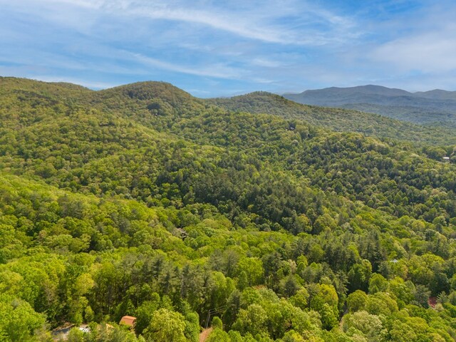 LOT45 Amy Crk, Ellijay, GA 30540