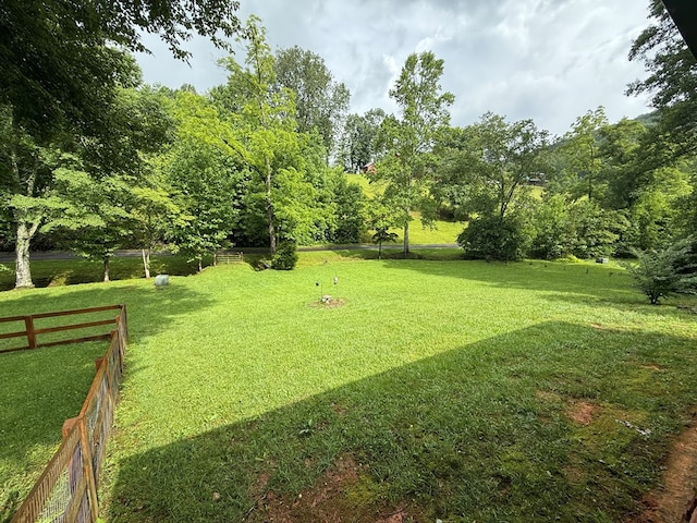 100 Bryant Farm Rd, Murphy, NC 28906 - view of yard