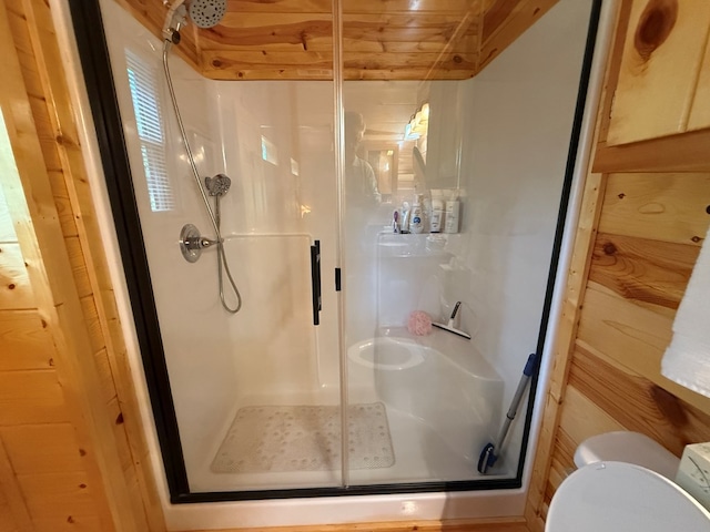100 Bryant Farm Rd, Murphy, NC 28906 - full bathroom featuring a shower stall