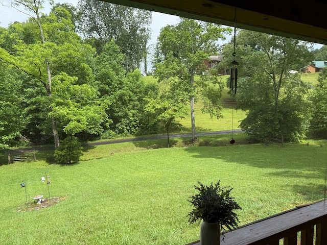 100 Bryant Farm Rd, Murphy, NC 28906 - view of grassy yard
