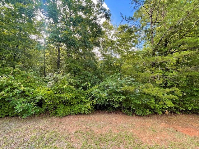 LOT118 Beech Tree Dr, Ellijay GA, 30540 land for sale