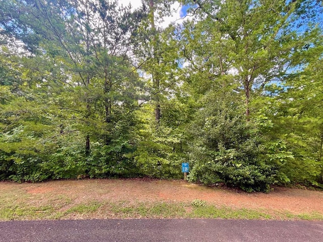 Listing photo 3 for LOT118 Beech Tree Dr, Ellijay GA 30540