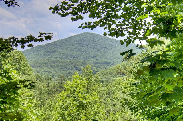 305 Kimbolton Dr, Morganton, GA 30560 - view of mountain backdrop featuring a heavily wooded area