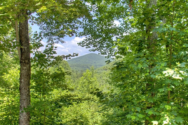 305 Kimbolton Dr, Morganton, GA 30560 - view of mountain background featuring a forest