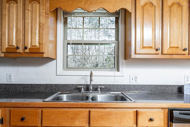 kitchen featuring sink and a wealth of natural light