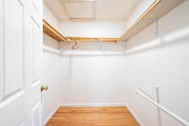 spacious closet featuring hardwood / wood-style flooring