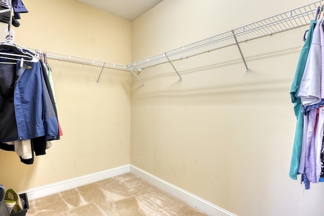 spacious closet with carpet flooring