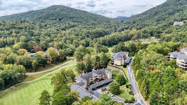 aerial view with a mountain view