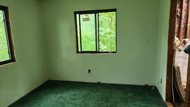 view of carpeted spare room