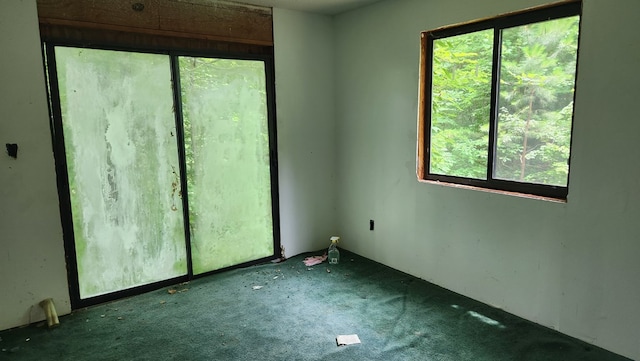 spare room featuring a wealth of natural light and carpet floors