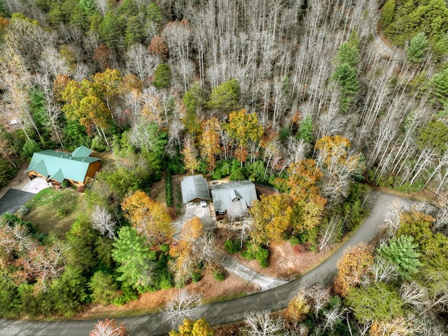 36 Rustic Barn Trl, Morganton, GA 30560 - view from above of property