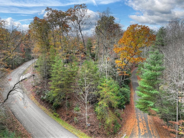 36 Rustic Barn Trl, Morganton, GA 30560 - view of asphalt road featuring a forest view