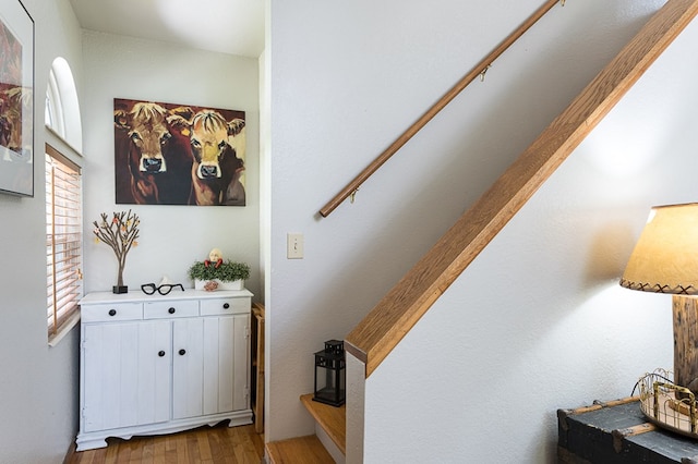 staircase with wood finished floors