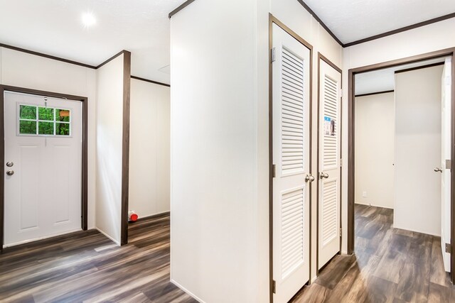 251 Ebenezer Rd, Ellijay, GA 30536 - foyer featuring ornamental molding and wood finished floors