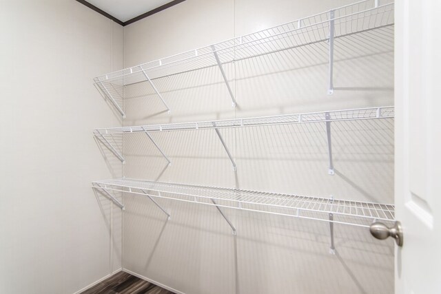 251 Ebenezer Rd, Ellijay, GA 30536 - spacious closet with dark wood-type flooring