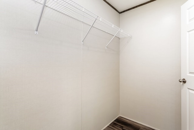 251 Ebenezer Rd, Ellijay, GA 30536 - walk in closet with dark wood finished floors