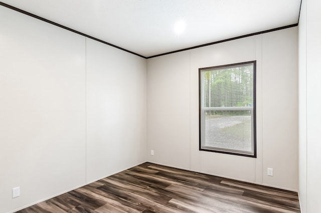 251 Ebenezer Rd, Ellijay, GA 30536 - spare room featuring crown molding and dark wood-style floors